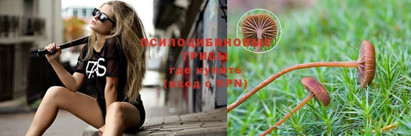 эйфоретик Алексин