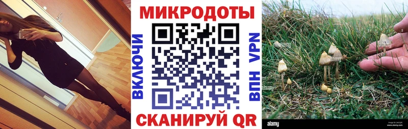 мориарти телеграм  Бодайбо  Псилоцибиновые грибы Psilocybine cubensis  гидра ТОР 